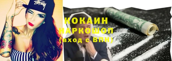 ПСИЛОЦИБИНОВЫЕ ГРИБЫ Заводоуковск
