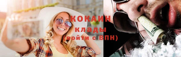 ПСИЛОЦИБИНОВЫЕ ГРИБЫ Заводоуковск