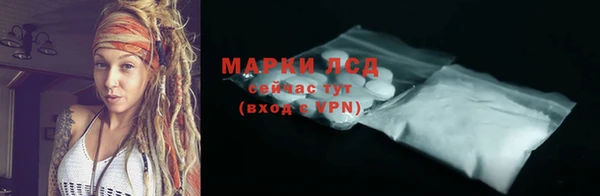 ПСИЛОЦИБИНОВЫЕ ГРИБЫ Заводоуковск