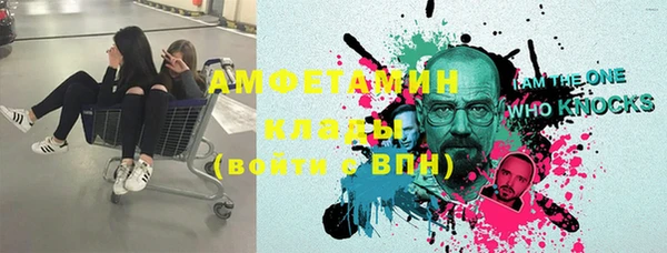 ПСИЛОЦИБИНОВЫЕ ГРИБЫ Заводоуковск