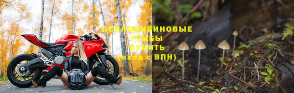 метадон Заволжье