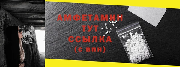 ПСИЛОЦИБИНОВЫЕ ГРИБЫ Заводоуковск