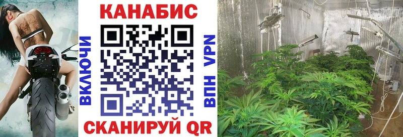 МАРИХУАНА Ganja  Ивантеевка 